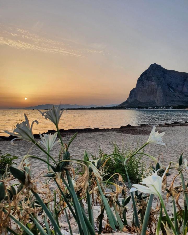 سان فيتو لو كابو B&B Le Ortensie المظهر الخارجي الصورة